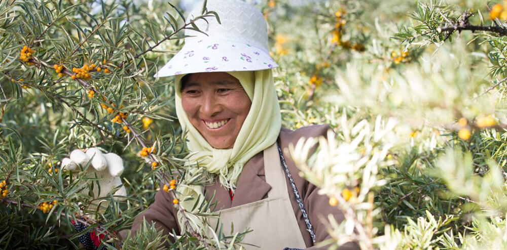 HIMALYO Elixir  juice BIO 750 ml 1